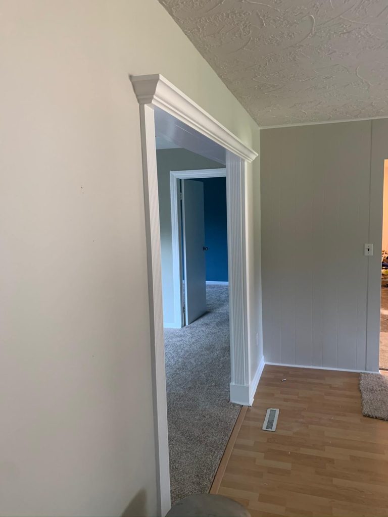 Living Room interior Painting job